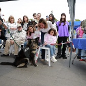 Festival de la Adopción