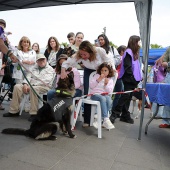 Festival de la Adopción