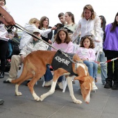 Festival de la Adopción