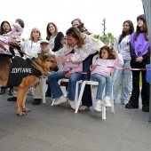 Festival de la Adopción