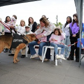 Festival de la Adopción