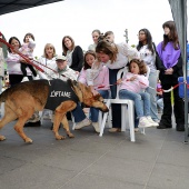Festival de la Adopción