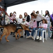 Festival de la Adopción
