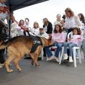 Festival de la Adopción