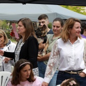 Festival de la Adopción