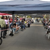 Festival de la Adopción