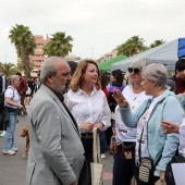 Festival de la Adopción