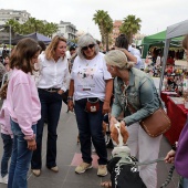 Festival de la Adopción