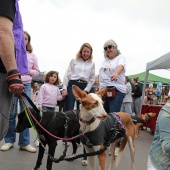 Festival de la Adopción