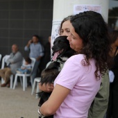 Festival de la Adopción