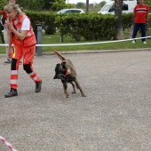 Festival de la Adopción