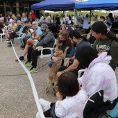 Festival de la Adopción