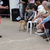 Festival de la Adopción