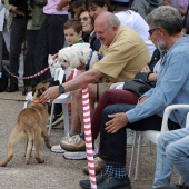 Festival de la Adopción