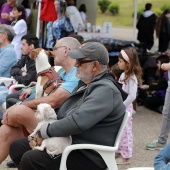 Festival de la Adopción