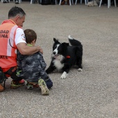 Festival de la Adopción