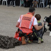 Festival de la Adopción