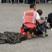 Festival de la Adopción