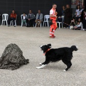 Festival de la Adopción