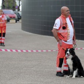 Festival de la Adopción