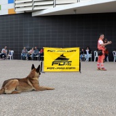 Festival de la Adopción