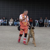 Festival de la Adopción