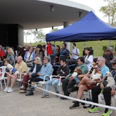 Festival de la Adopción