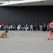 Festival de la Adopción