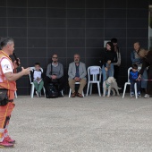 Festival de la Adopción