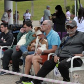 Festival de la Adopción