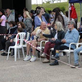 Festival de la Adopción