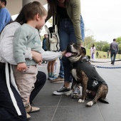 Festival de la Adopción