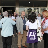 Festival de la Adopción