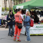 Festival de la Adopción