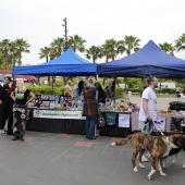 Festival de la Adopción