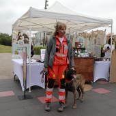 Festival de la Adopción