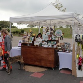 Festival de la Adopción