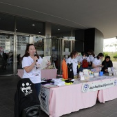 Festival de la Adopción