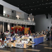 Festival de la Adopción