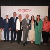 AGCV