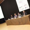 CASTELLÓN, 2011