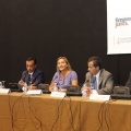 CASTELLÓN, 2011