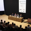 CASTELLÓN, 2011