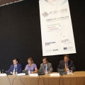 CASTELLÓN, 2011