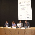 CASTELLÓN, 2011