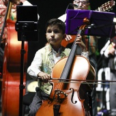 Tradicional serenata