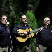 Tradicional serenata
