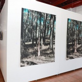 Exposición benéfica