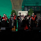 Festa de la Rosa