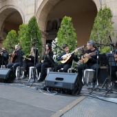 Festival de Danses